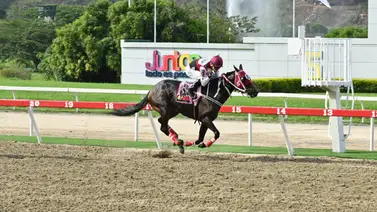 Te puede interesar: Este ejemplar que no es favorito logró uno de los mejores tiempos para el ciclo no válido dominical Te puede interesar: Este ejemplar que no es favorito logró uno de los mejores tiempos para el ciclo no válido dominical