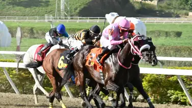 Mira esto: En la quinta válida para el 5y6 dominical hay un ejemplar que se perfila como el dato más corrido Mira esto: En la quinta válida para el 5y6 dominical hay un ejemplar que se perfila como el dato más corrido