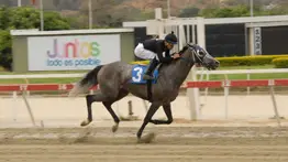 De las pistas a la cría: Triple Coronada venezolana debuta como madre con un hermoso potrillo