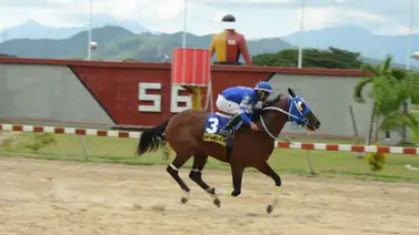 ¿Buscas los fijos del 5y6? Aquí tienes los recomendados para ganar este viernes en MeridianoBet ¿Buscas los fijos del 5y6? Aquí tienes los recomendados para ganar este viernes en MeridianoBet