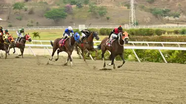 ¿Te gusta Sugar Cane? Esta es una información importante que debes saber ¿Te gusta Sugar Cane? Esta es una información importante que debes saber