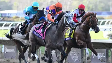 Se cumplieron los pronósticos: Ted Noffey, campeón dosañero del Eclipse Award 2025 Se cumplieron los pronósticos: Ted Noffey, campeón dosañero del Eclipse Award 2025