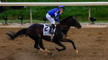 ¡La noche de los campeones! Aquí están todos los ganadores de los Eclipse Awards 2025 ¡La noche de los campeones! Aquí están todos los ganadores de los Eclipse Awards 2025