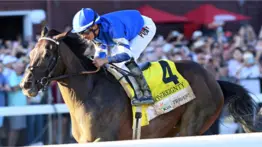 ¡Oficial! Sovereignty fue premiado como Caballo del Año 2025 en los Eclipse Awards