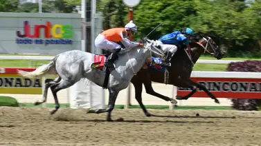 Con el ajuste fenómeno de este ejemplar parece dejarlo listo para cruzar el disco en ganancia en el 5y6 de la R04 Con el ajuste fenómeno de este ejemplar parece dejarlo listo para cruzar el disco en ganancia en el 5y6 de la R04