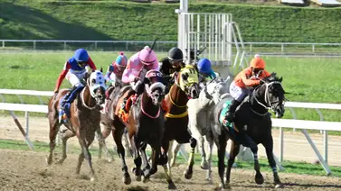 Importante: Te revelamos el ajuste de una sorpresa de Gaceta Hípica con el que podrás ganar en el 5y6 Nacional Importante: Te revelamos el ajuste de una sorpresa de Gaceta Hípica con el que podrás ganar en el 5y6 Nacional