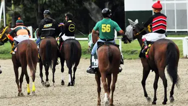 Sacudón en la R04: En el ciclo no válido se reduce la nómina por el retiro de uno de los ejemplares Sacudón en la R04: En el ciclo no válido se reduce la nómina por el retiro de uno de los ejemplares