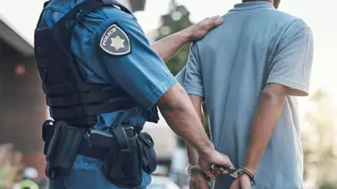 Entrenador es arrestado por golpear y patear a un caballo en Florida Entrenador es arrestado por golpear y patear a un caballo en Florida