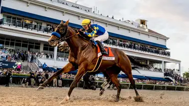 Pegasus World Cup 2026: La cita de las estrellas hípicas en Gulfstream Park Pegasus World Cup 2026: La cita de las estrellas hípicas en Gulfstream Park