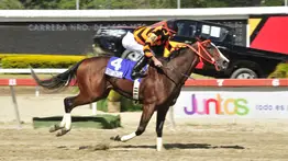 Nace una promesa: Campeona selectiva estrena su faceta de madre con un cruce de lujo