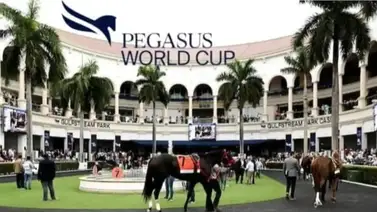 Chad Brown va por la segunda foto consecutiva en esta prueba de la Pegasus World Cup Chad Brown va por la segunda foto consecutiva en esta prueba de la Pegasus World Cup