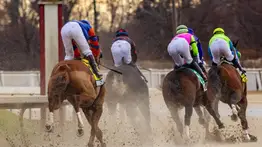 Frío extremo en Maryland: Laurel Park cancela su jornada de este sábado