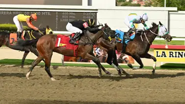 ¡Ojo! Una de las yeguas logró el mejor ajuste previo a su participación en la cuarta válida para el 5y6 de la R04 ¡Ojo! Una de las yeguas logró el mejor ajuste previo a su participación en la cuarta válida para el 5y6 de la R04