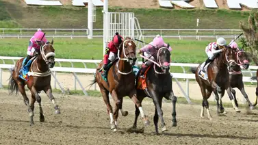 ¿El mejor ejercicio de la semana? Este ejemplar voló en su ajuste y está listo para ganar el 5y6 Nacional ¿El mejor ejercicio de la semana? Este ejemplar voló en su ajuste y está listo para ganar el 5y6 Nacional