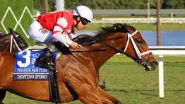 Junior Alvarado y Destino d’Oro con $33.20 reinaron en la Pegasus World Cup Filly and Mare Turf (G2)