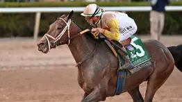 ¡Más de $45.00 a Ganador! Skippylongstocking estremece Gulfstream Park al conquistar la Pegasus World Cup (G1)