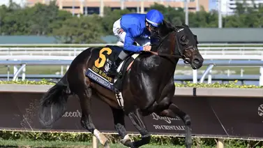 Junior Alvarado brilla sobre Knightsbridge en el Fred W. Hopper Stakes (G3) Junior Alvarado brilla sobre Knightsbridge en el Fred W. Hopper Stakes (G3)
