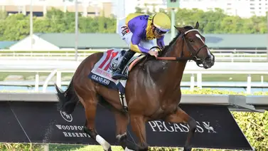 Inside Information Stakes (G2): Otra selectiva para Junior Alvarado en Gulfstream Park Inside Information Stakes (G2): Otra selectiva para Junior Alvarado en Gulfstream Park
