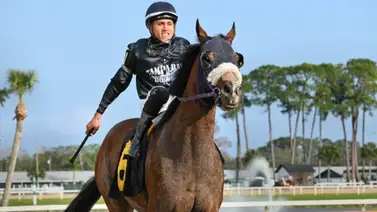Samuel Marín arrasa este sábado con cinco victorias en Tampa Bay Downs Samuel Marín arrasa este sábado con cinco victorias en Tampa Bay Downs