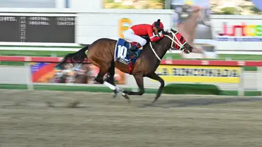 Ekati King responde al ganar la Condicional Especial del domingo Ekati King responde al ganar la Condicional Especial del domingo