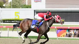 Así quedaron los resultados del domingo en La Rinconada 25-01-2026