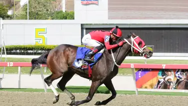 Así quedaron los resultados del domingo en La Rinconada 25-01-2026 Así quedaron los resultados del domingo en La Rinconada 25-01-2026