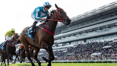 Romantic Warrior amplía su leyenda como el purasangre que más dinero ha producido en el mundo Romantic Warrior amplía su leyenda como el purasangre que más dinero ha producido en el mundo