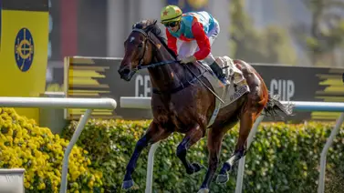 Ka Ying Rising iguala récord que nadie conseguía hace 21 años en el turf mundial Ka Ying Rising iguala récord que nadie conseguía hace 21 años en el turf mundial