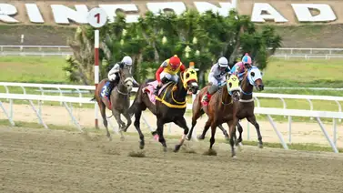 La Rinconada: Suspendido jinete aprendiz por su desempeño en los metros finales La Rinconada: Suspendido jinete aprendiz por su desempeño en los metros finales