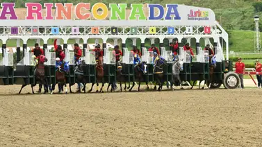 Suspensión indefinida en La Rinconada: Los Comisarios inhabilitan a ejemplar de cuatro años Suspensión indefinida en La Rinconada: Los Comisarios inhabilitan a ejemplar de cuatro años