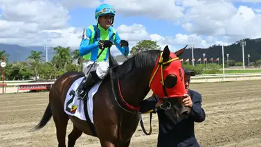 Francisco Quevedo asalta el liderato tras un fin de semana impecable en La Rinconada Francisco Quevedo asalta el liderato tras un fin de semana impecable en La Rinconada