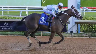 Javier Castellano cierra la semana con doblete en Gulfstream Park Javier Castellano cierra la semana con doblete en Gulfstream Park