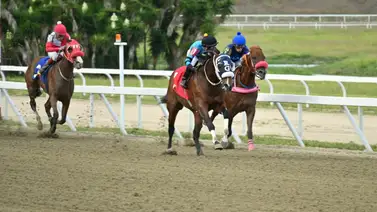 Incertidumbre en el cierre del 5y6: El destino del ejemplar más jugado en la última carrera de La Rinconada Incertidumbre en el cierre del 5y6: El destino del ejemplar más jugado en la última carrera de La Rinconada