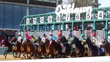 Oaklawn Park se prepara para recibir a los potros de tres años que buscan la carrera de las Rosas y Lirios Oaklawn Park se prepara para recibir a los potros de tres años que buscan la carrera de las Rosas y Lirios