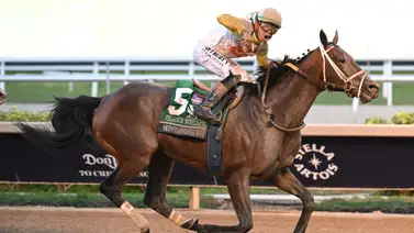 Ejemplares maduros al poder: La hazaña nunca antes vista en la Pegasus World Cup Ejemplares maduros al poder: La hazaña nunca antes vista en la Pegasus World Cup
