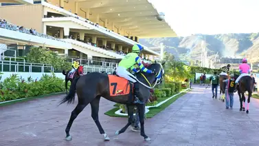 Luz verde para el primer domingo de febrero: Diez desafíos buscan protagonistas en La Rinconada Luz verde para el primer domingo de febrero: Diez desafíos buscan protagonistas en La Rinconada
