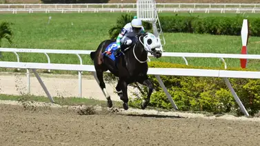 ¿Misión imposible? Regresa tras 378 días la yegua que ya sabe qué es ganar con Emisael Jaramillo en La Rinconada ¿Misión imposible? Regresa tras 378 días la yegua que ya sabe qué es ganar con Emisael Jaramillo en La Rinconada