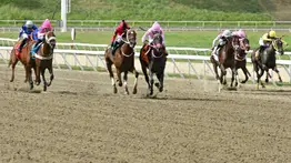 308 días después: La incógnita de la yegua que se estrena en la cuadra de un reconocido entrenador venezolano