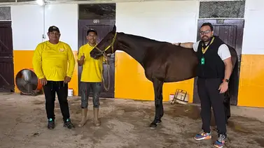 Emoción en La Rinconada: Noel Kucich agradece el respaldo del mundo hípico tras su estreno triunfal Emoción en La Rinconada: Noel Kucich agradece el respaldo del mundo hípico tras su estreno triunfal