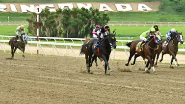 ¿El ejemplar número 6 sería el candidato para ganar el 5y6 dominical? Todo lo que hay detrás de su esperada reaparición para la R05 ¿El ejemplar número 6 sería el candidato para ganar el 5y6 dominical? Todo lo que hay detrás de su esperada reaparición para la R05