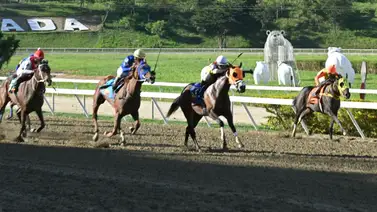 El regreso de la yegua de jerarquía con la yunta de moda que promete sacudir los acumulados en La Rinconada El regreso de la yegua de jerarquía con la yunta de moda que promete sacudir los acumulados en La Rinconada