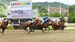 El purasangre que nunca corre mal reaparece este domingo con monta estelar para intentar la gran sorpresa en el óvalo de Coche