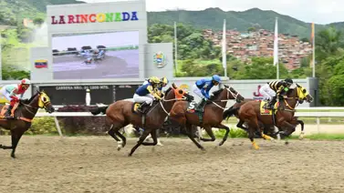 El purasangre que nunca corre mal reaparece este domingo con monta estelar para intentar la gran sorpresa en el óvalo de Coche El purasangre que nunca corre mal reaparece este domingo con monta estelar para intentar la gran sorpresa en el óvalo de Coche