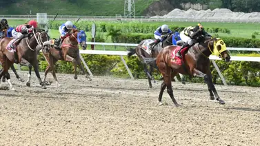 ¡Alerta de dividendo! Hijo de One Bullets reaparece tras 462 días para decidir la Primera Doble Perfecta ¡Alerta de dividendo! Hijo de One Bullets reaparece tras 462 días para decidir la Primera Doble Perfecta