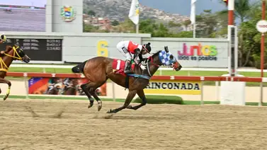 El desafío estadístico de Supreme Legacy en el cierre de la jornada en La Rinconada El desafío estadístico de Supreme Legacy en el cierre de la jornada en La Rinconada