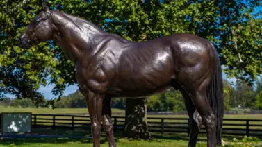 Linaje de oro en Caracas: Una nieta del legendario Malibu Moon debuta este domingo en La Rinconada Linaje de oro en Caracas: Una nieta del legendario Malibu Moon debuta este domingo en La Rinconada