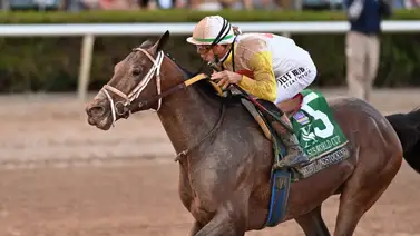 Cerca de $50 millones: La Pegasus World Cup impone récord de apuestas en su décima edición Cerca de $50 millones: La Pegasus World Cup impone récord de apuestas en su décima edición