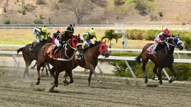 Ojo con Juan Carlos García Mosquera: El esperado retorno de esta yegua podría decidir el 5y6 en La Rinconada Ojo con Juan Carlos García Mosquera: El esperado retorno de esta yegua podría decidir el 5y6 en La Rinconada