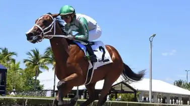 Gulfstream Park: Mythical del entrenador venezolano Jorge Delgado está lista para conquistar el Forward Gal Stakes (G3) por $175 mil Gulfstream Park: Mythical del entrenador venezolano Jorge Delgado está lista para conquistar el Forward Gal Stakes (G3) por $175 mil