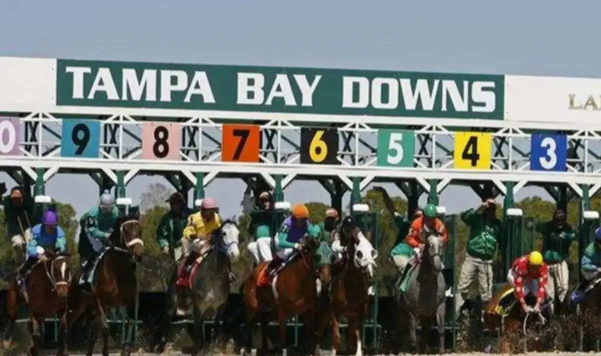 Pronósticos Tampa Bay Downs: picks gratis y el dato clave para el jueves 28 de enero